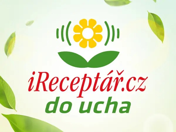 iReceptář do ucha